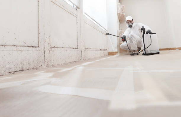 24/7 Emergency Mold Remediation experts in Chester, VA